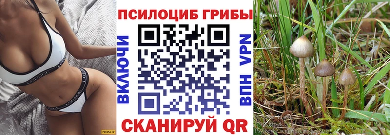 Псилоцибиновые грибы Cubensis  Соликамск 