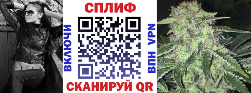 Бошки Шишки VHQ  Соликамск 